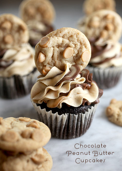 Chocolate Peanut Butter Cupcakes – bakerella.com