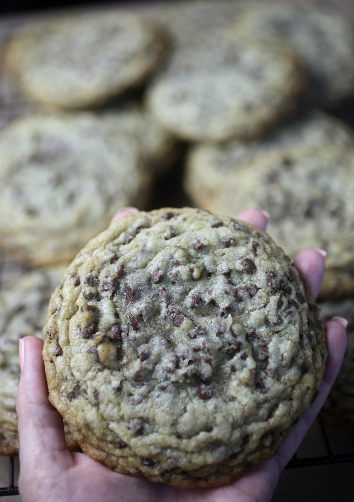 Chocolate Chip Cookie Cakelets - Bakerella