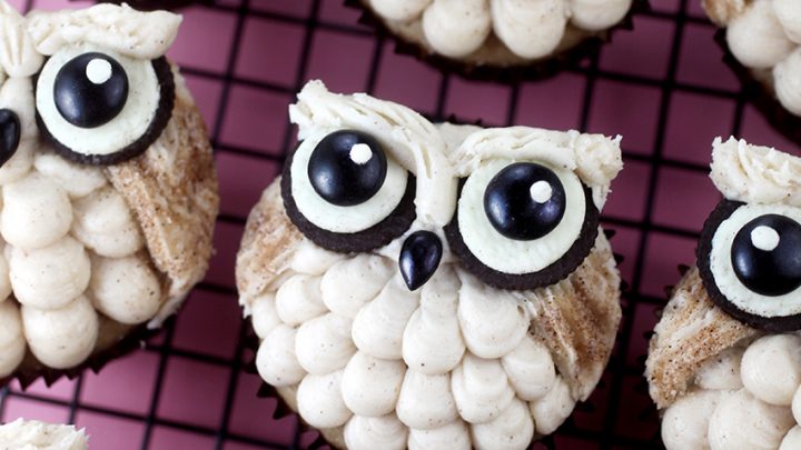 Owl DecoShapes 2-Tiered Round Stacked Cake Design | DecoPac