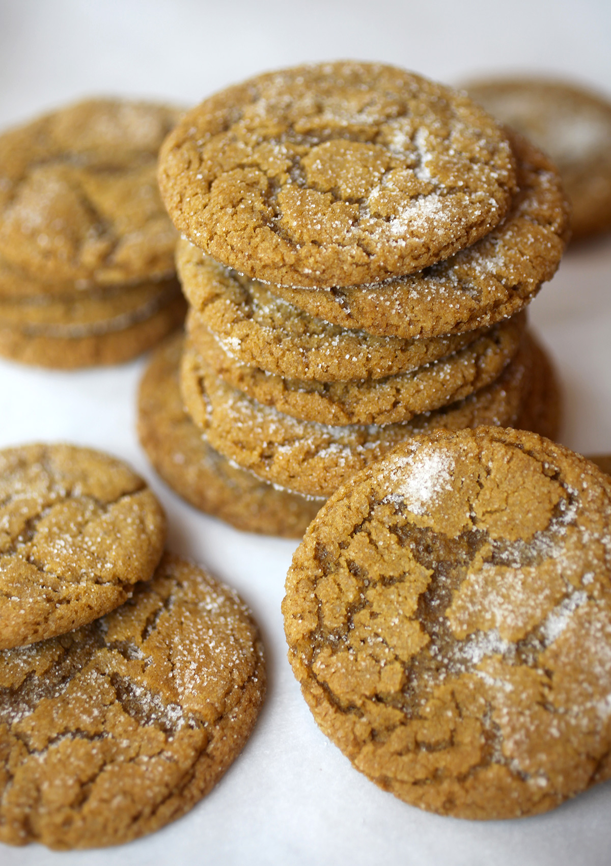 Merry Christmas Cookie Boxes | Bakerella